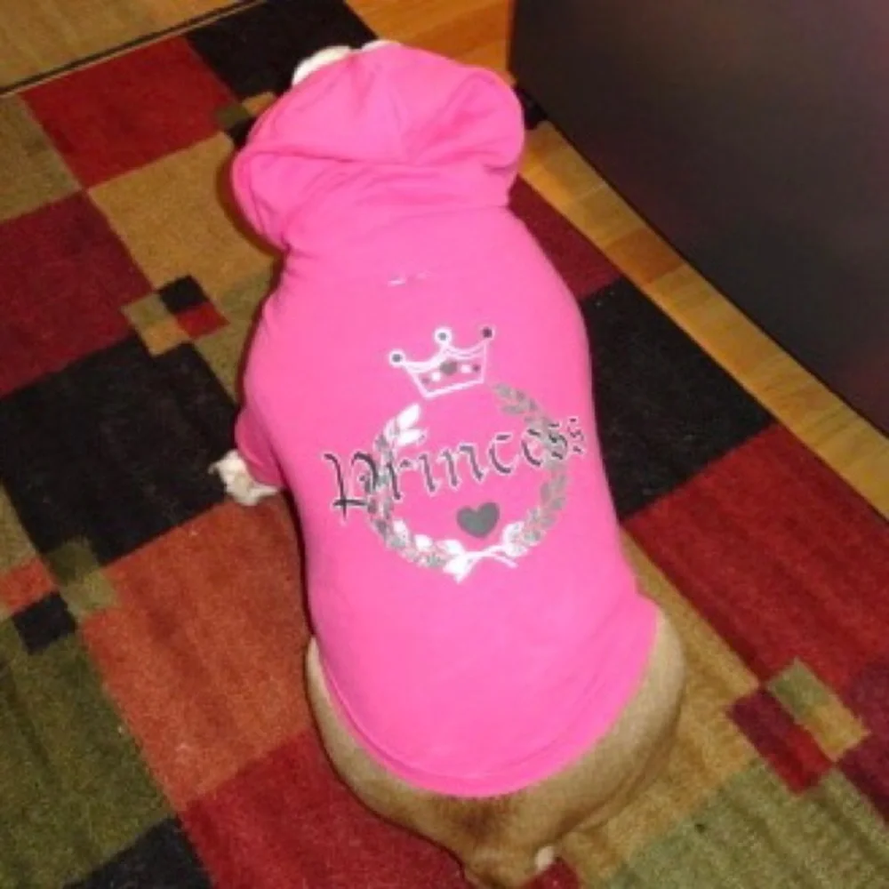 Old Navy Hot Pink Princess Sweatshirt - Picture 1 of 11